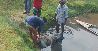ঘর থেকে মুড়ি-চানাচুর নিয়ে আর ফেরেননি, পুকুরে মিললো মরদেহ